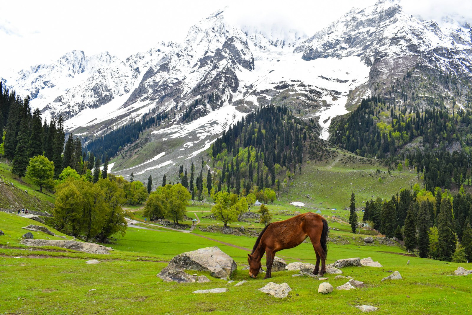 Kashmir, Naturally